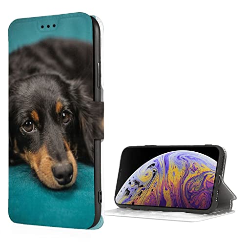 �\�t�@�[�̏�ł��낮 �_�b�N�X�t���h �� �X�}�z�P�[�X �w iphone SE��2���� iphone7 iphone8 �K���x �A�j�� �L�����N�^�[ ���z�^ �S�ʕی� �蒠�^�P�[�X ���u���@�\ �ϏՌ�