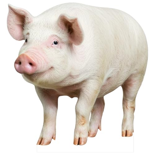 DP BOUTIQUE Pig 4FT Life Size Cardboard Cutout, Safari Theme