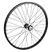 WheelMaster Front Bicycle Wheel 20 x 1.75 36H, Alloy, Bolt On, Black