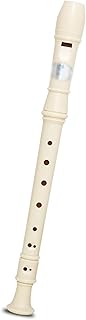 soprano recorder instrument Recorder 6-hole Entry-level Musical Instrument 8-hole Beginner Treble Teaching Practice Recorder (Color : 8hole)