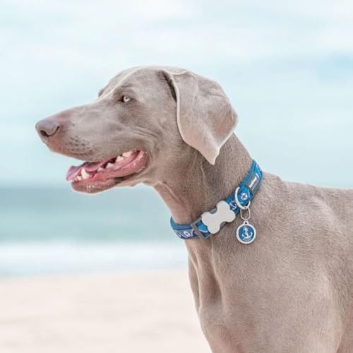 Red Dingo Personalized Anchor Pet ID Dog Tag (Large)