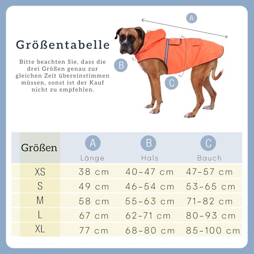 Bella & Balu Hunderegenmantel wasserdicht mit Kapuze und Reflektoren für sichere Gassigänge, Hundespielplatz und Urlaub (L, Orange)