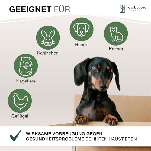CarboZero Futterkohle 250 g Pulver für Tiere | Aktivkohle für Hunde & Katzen | Futterkohle für Hunde & Nager | Tierkohle | Futterkohle Haustiere | Nachfüllpack Aktivkohle