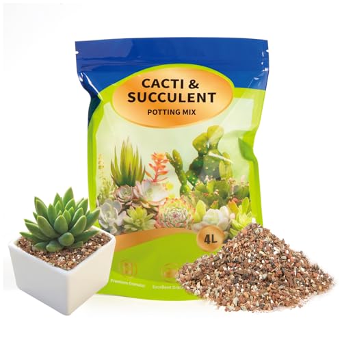 Succulent & Cactus Soil Potting Mix 4qt