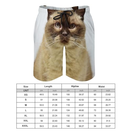 Maillot de bain séchage rapide homme short plage chat