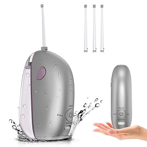 Water Flosser, Portable Water Pick Teeth Cleaner with 3 Modes and 4 Jet Tips, IPX5 Waterproof Dental Oral Irrigator with 2 Minutes Auto-Timer and Portable Bag for Office Travel Home use (Silver)