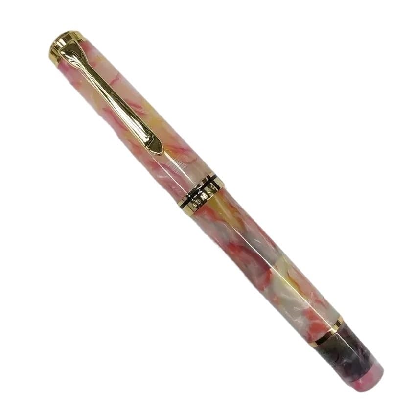 Stylo plume en acrylique n°6 pointe M 0,7mm souple pour écriture manuscrite