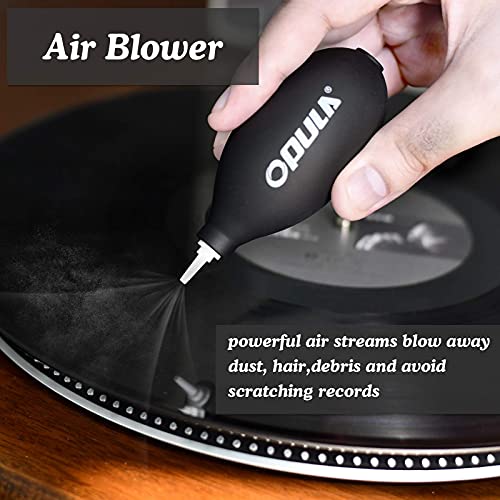Vinyl Record Cleaner Kit - Image 4