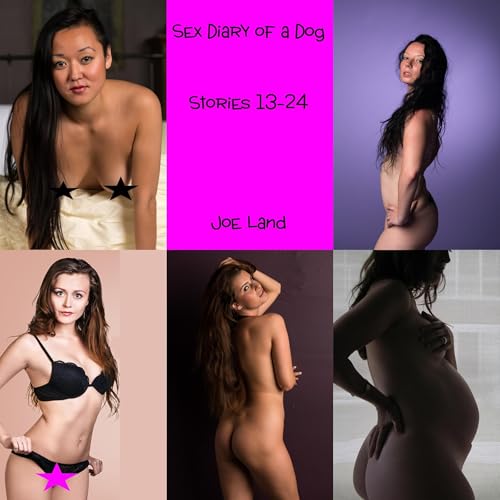 Sex Diary of a Dog, Stories 13-24 Audiolibro Por Joe Land arte de portada