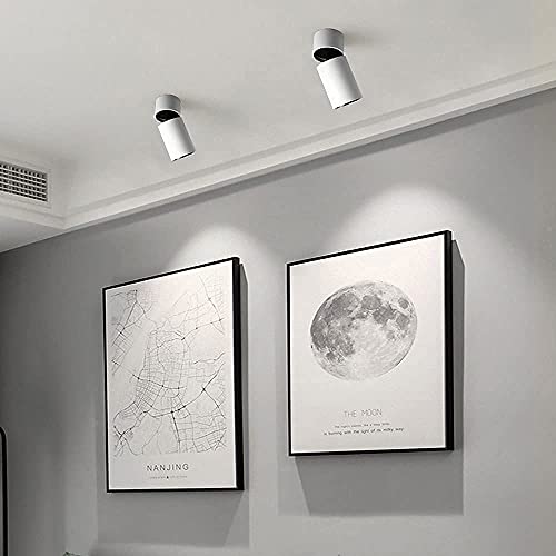 Plafonnier LED spot réglable et projecteurs directionnels indoor downlight W - 3