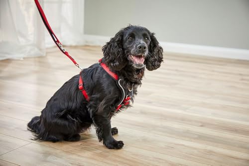 Wolters Führleine Professional Comfort, Farbe:rot/schwarz, Größe:S 300 cm x 10 mm (extra lang)