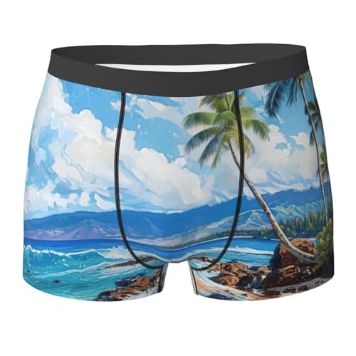 yyunbmr Cool Funny Boxer Briefs for Men Humorous Trunks 3D Cut Underwear Mens Fashion Shorts hawaii beach Print, Black, XXL