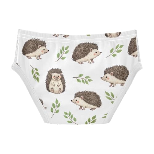 CHIFIGNO Boys' Underwear Cute Cartoon Hedgehogs White Little Boy Briefs Printed Cotton Brief Underwear2
