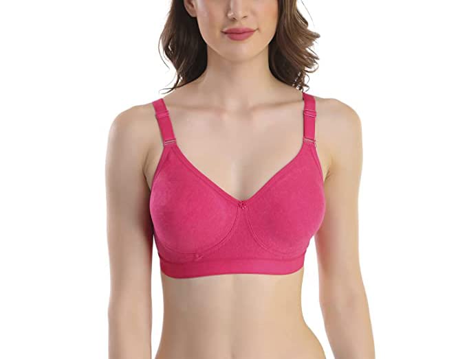 Image of SKDREAMS Blue & Brown & Purple-32D Cotton Blend Seamless Non Padded Non-Wired Full Coverage Pack of 3 Women T-Shirt Bra Combo
