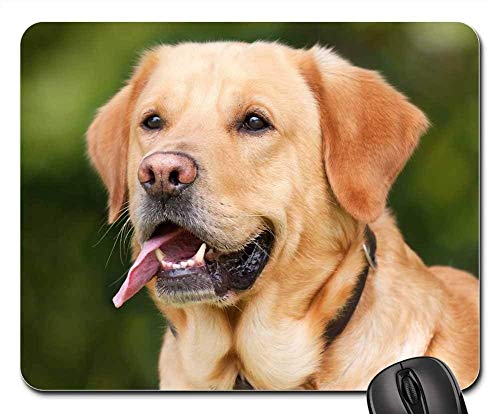 マウスパッド - 犬ラブラドルライトブラウンペット動物Hundeportrait