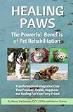 Healing Paws: The Powerful Benefits of Pet Rehabilitation