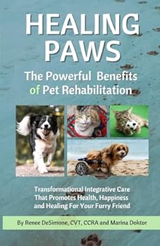 Healing Paws: The Powerful Benefits of Pet Rehabilitation