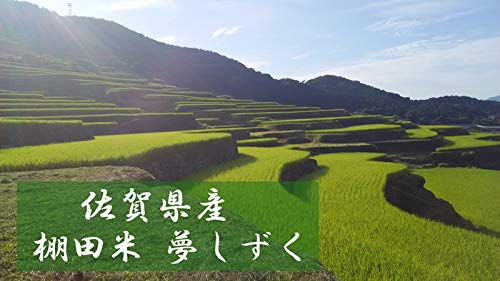 ꌧY Ic   10kg ߘa7NY