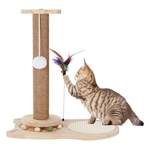 Cat Toy,Cat Scratching Post for Indoor Cats,Natural Sisal pad and cat Tree, 5 in1 Wooden Cat Toys for Indoor Cats and Kittens,Turntable Interactive Cat Toys