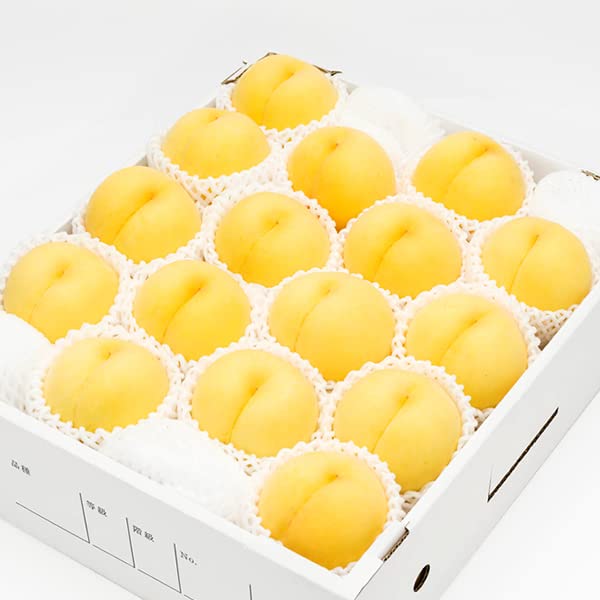 山形県産　黄金桃　【贈答用】5kg Amazon.co.jp: 山形県産 桃 黄桃 5kg (共撰 秀品/有袋栽培/12-18玉入り