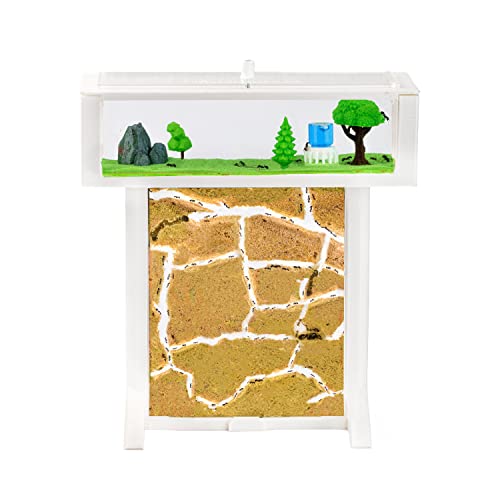 AntHouse.es - Hormiguero de Arena 3D | Kit T 15x15x1,5 cm | Granja de Hormigas Color Blanco |...