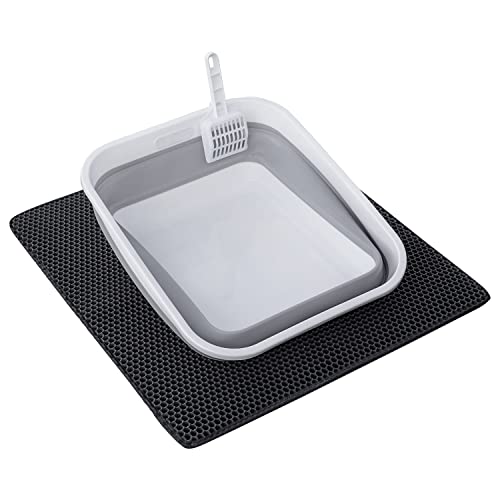 Top 10 Best Kitty Litter Box [Experts 2023 Reviews]