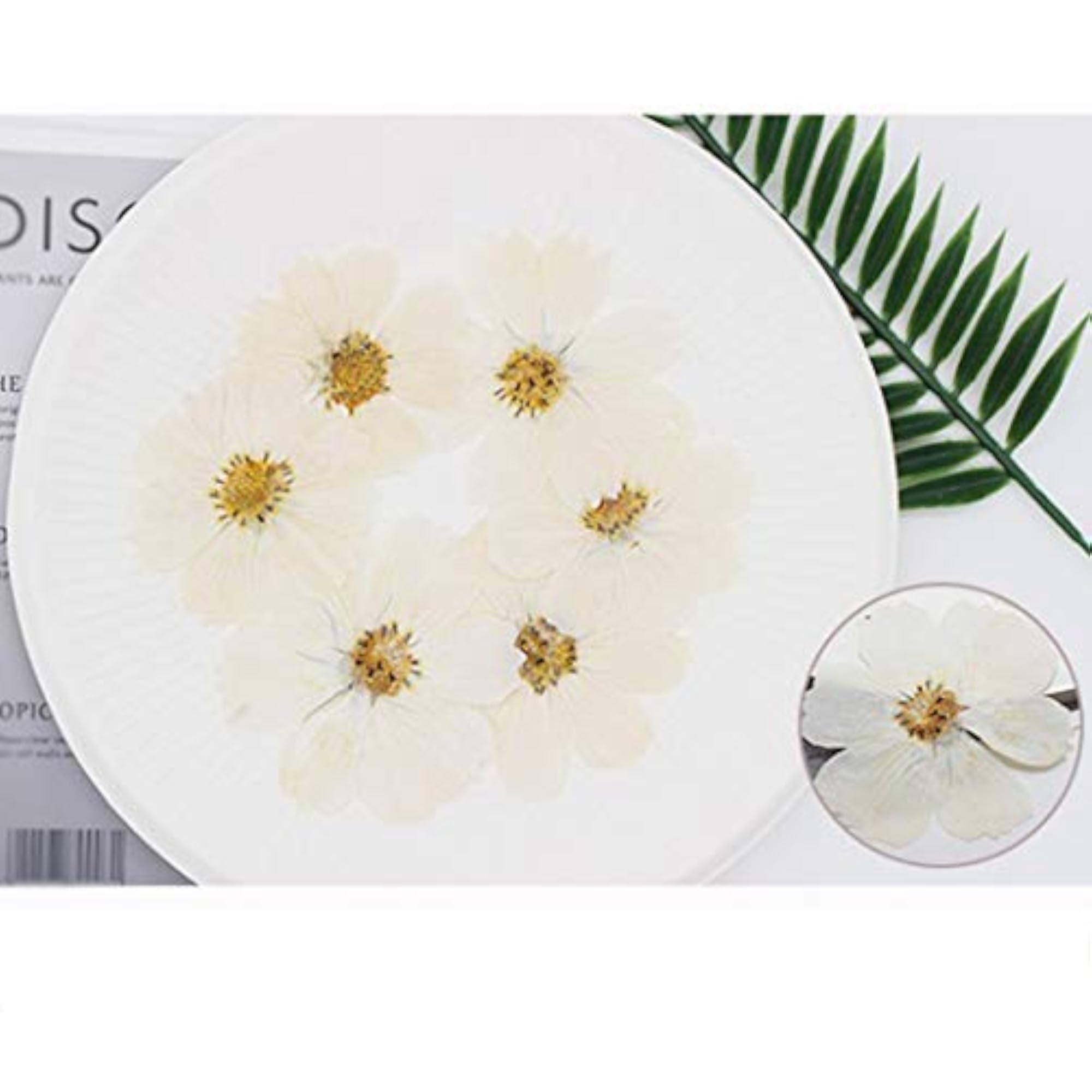 36PCS Pressed Flower Scrapbooking Supplies
