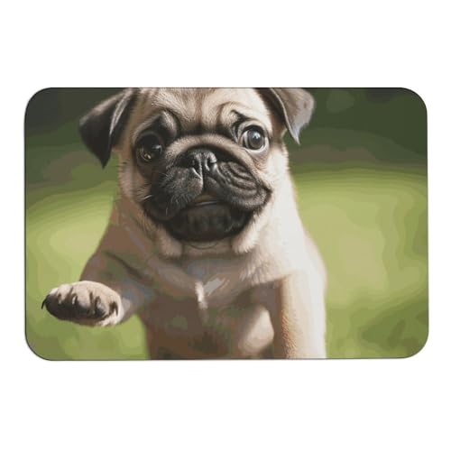 Tapis absorbant imprimé 60x40 cm antidérapant pour intérieur - 2