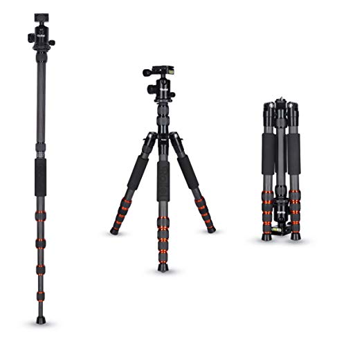 Rollei Fotostativ Traveler Carbon in schwarz