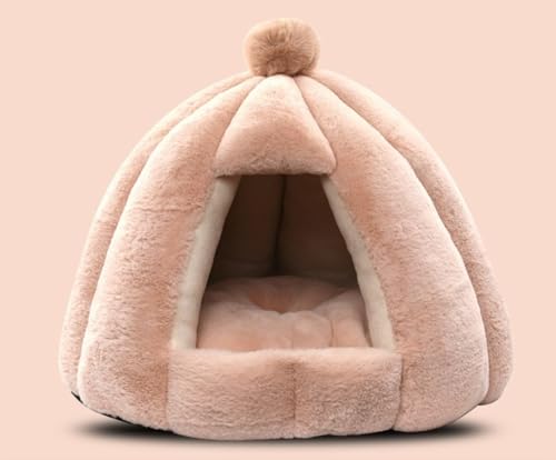 k LnEX Lpxbh h[^ g[ GARK xbh}bg ybgnEX ybgxbh  K _炩  g pQ 薰 ~ ۉh ybgpi (A,MF48x48CM)