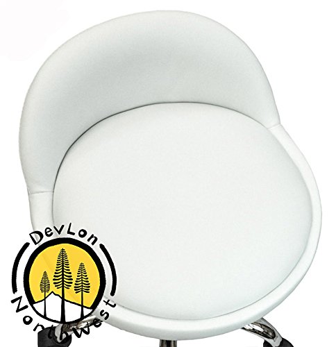 DevLon NorthWest Salon Stool with Back Rest Saddle Hydraulic Spa Stool (WHITE)