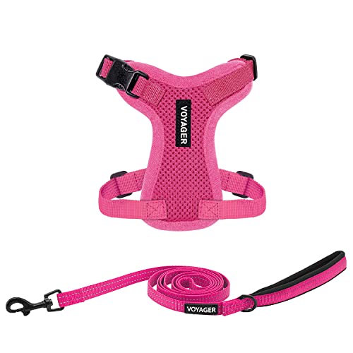 Image of Best Pet Supplies Voyager Step-in Lock Pet Harness w Reflective Pet Leash Combo Set with Neoprene Handle 5ft - Supports Small, Medium and Large Breed Puppies /Cats - Fuchsia Set, XXXS