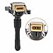 GoaMotors C1239 Ignition Coil Set Compatible with BMW E39 E53 E721 E720 E383 328I 528I M3 Z3 E36 E46 E31 E38 Compatible with Land Rover 2.5L 2.8L 3.0L 3.2L 5.4L Relaces UF-300 UF-354 (Set of 6)