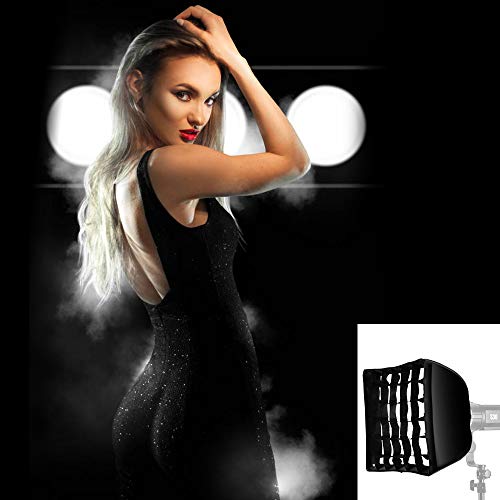GODOX SA-30 30cm x 30cm Softbox mit Gitter für S30 LED Fokussierlicht (SA30)