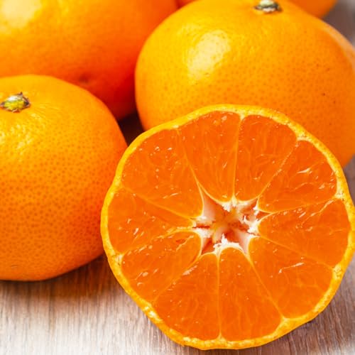 B݂  S~L  5 kg B݂ S̎Ќi B   F{  x ɑ Ӑ ݂ Y Y݂ ƒp