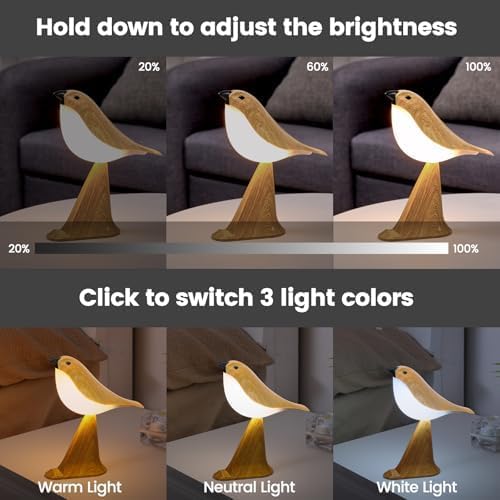 Haotao Small Cute Bird Table Lamp with Timer, Touch & Remote Control Bird Night Light, Cordless Bedside Lamps, Desk Lamp for Reading, 3-Way Dimmable USB Rechargeable Battery 2600mAh Nightstand Lamps, Decor photo 3