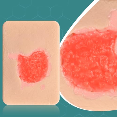Image of Healthy Granulation Wound Simulation Models for Education