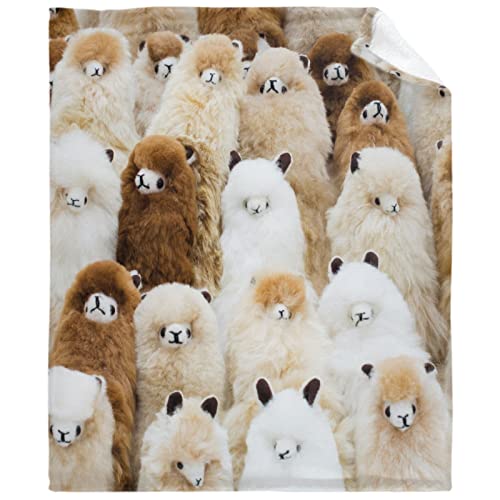 Ultra Soft Flannel Fleece Throw Blanket Alpaca All Season Warm And Cozy Quilt Blanket For Bed Sofa Couch 60"X50"For Teens #TOP13