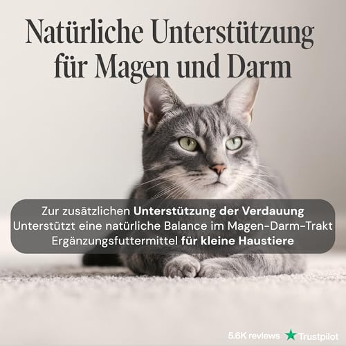 Gastro Entero Comfort 250 mg - Durchfall & Erbrechen bei Katzen, kleinen Hunden, Meerschweinchen & Kaninchen – pflanzliches Nahrungsergänzungsmittel für Magen & Darm – 90 Tabletten - Sensipharm