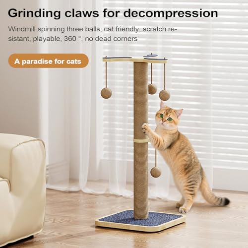 Griffoir pour chat d'intérieur de haute qualité en tapis de sol robuste