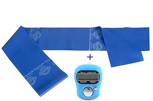 TheraBand Resistance Exercise Band for Heavy Workout/Gym/Yoga and Physical Therapy - for Beginners and Intermediates (Blue, 3Ft.) (B07PKQ59VP) Amazon Price History, Amazon Price Tracker