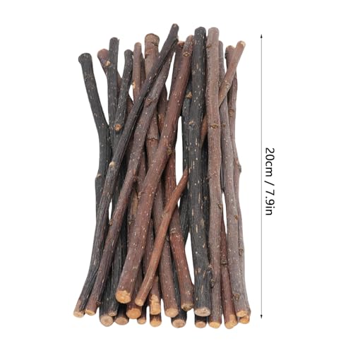 Sunisfa 20pcs Bastes Guloseimas Molares Coelhos de Coelho Hamster Gerbil Squirrel Comida Lanche Mate