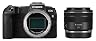 デジタル一眼カメラ EOS RP RF35 MACRO IS STM レンズキット