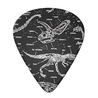 FUCVNPZ Lot de 6 médiators en celluloïd – Dinosaures jurassiques – Jauges fines, moyennes et lourdes pour guitares… - Les Beatles, Paul McCartney, John Lennon, RIngo Starr, George Harrison FUCVNPZ Lot de 6 médiators en celluloïd - Dinosaures jurassiques - Jauges fines, moyennes et lourdes pour guitares… – Image 3