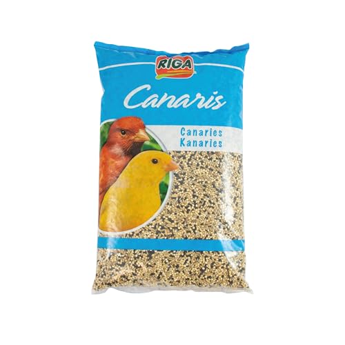 Canarios 2kg