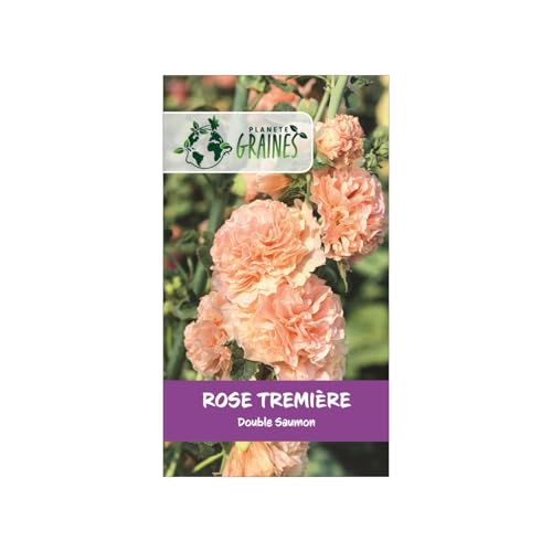 50 Graines de Rose Trémière 'Saumon' - 'Alcea rosea' - Fleur élégante et majestueuse, facile à cultiver pour des murs de fleurs spectaculaires