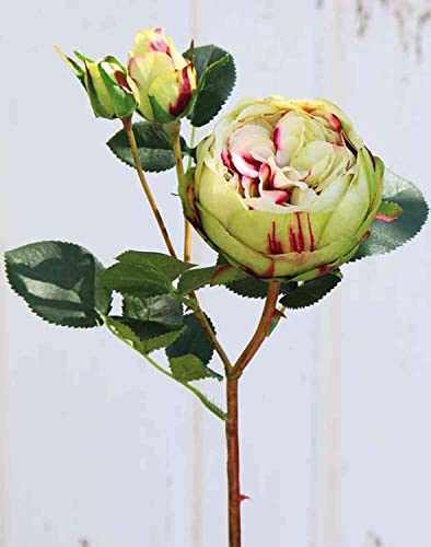 artplants.de Kunst Kohl-Rose MIRETTA, grün-Burgunderrot, 60cm, Ø3-9cm - Textil Kohl-Rose