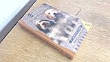 petit griffon basset vendeen puppies  The Petit Basset Griffon Vendeen: A Definitive Study