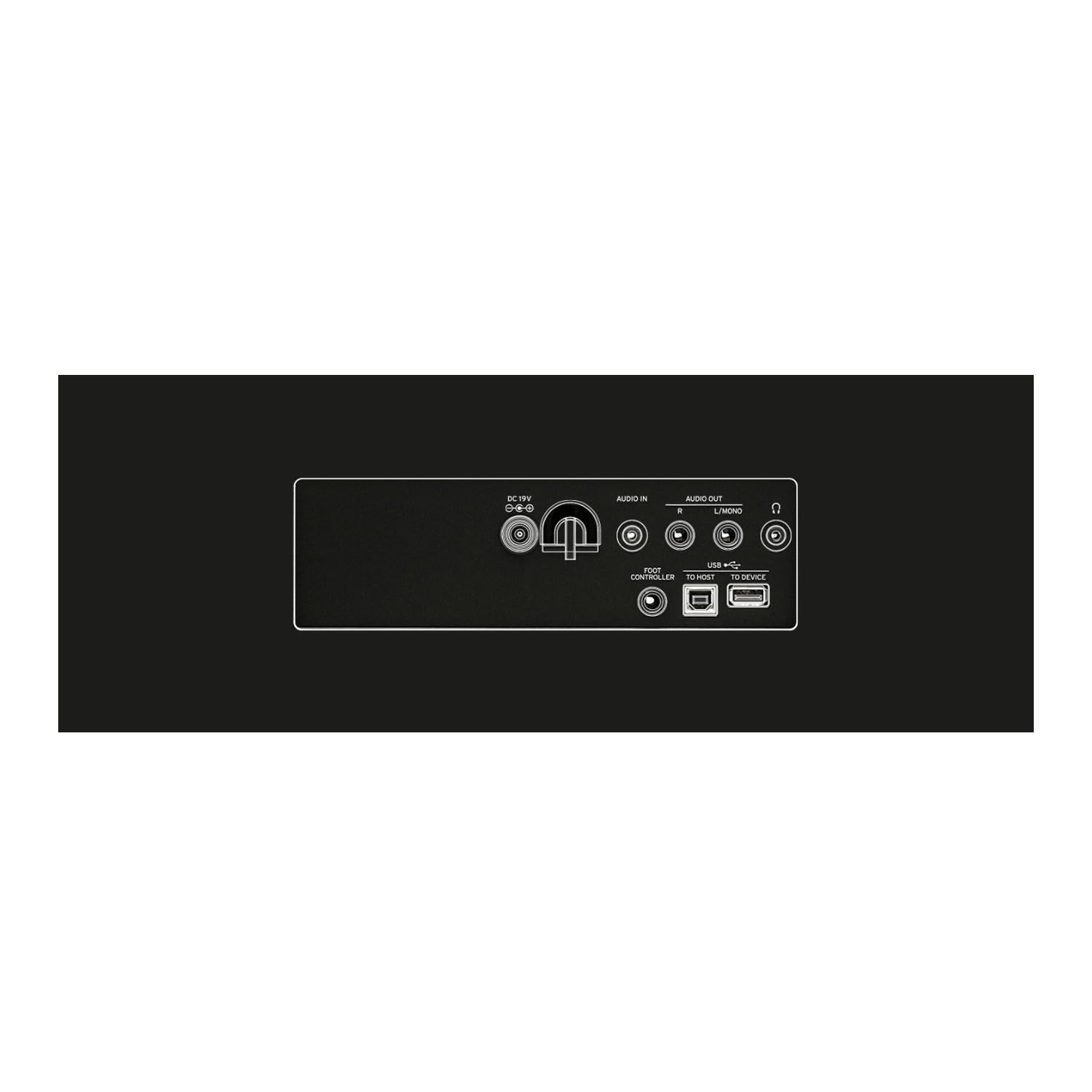 Arreglador de piano KORG XE20 88 notas