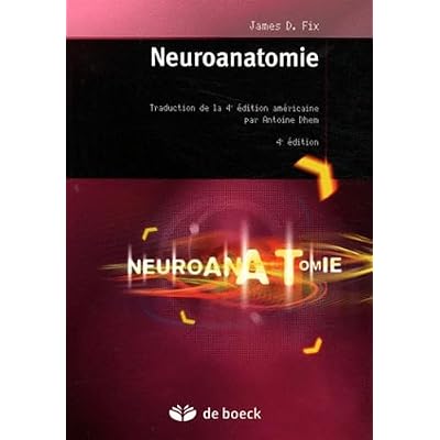 Neuroanatomie